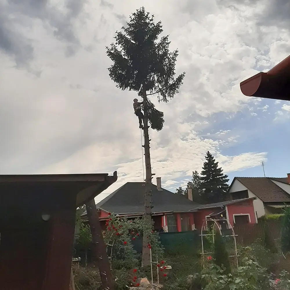 Családi ház alpintechnikás favágás Folyamatában