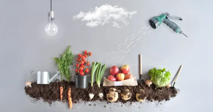 Éves ültetési naptár