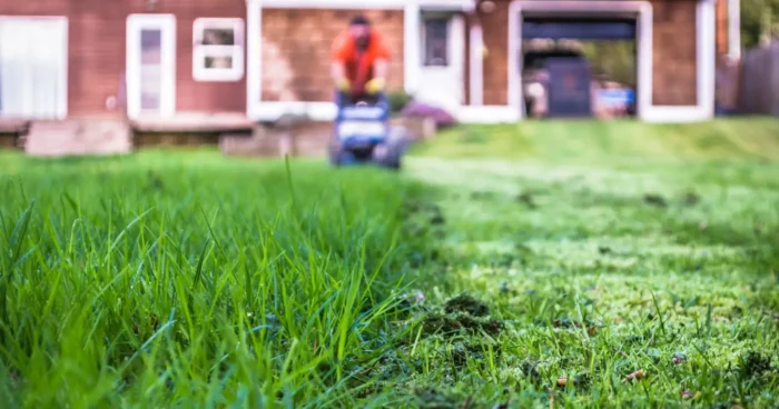 Március a tavaszi gyepápolás első hónapja