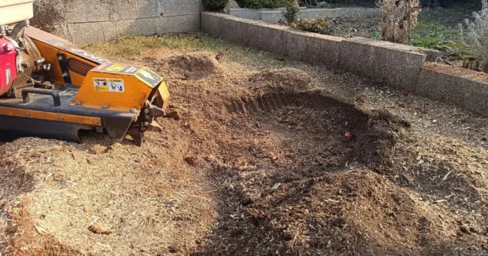 Tuskómarás szakszerűen