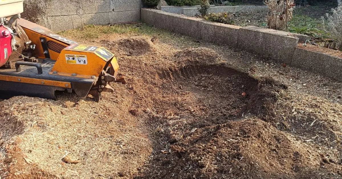 Tuskómarás szakszerűen