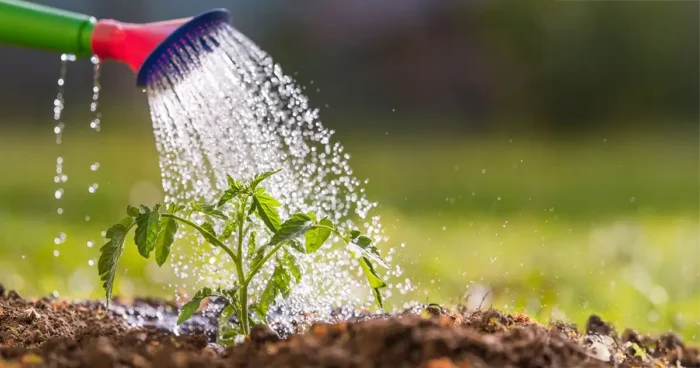Vízgazdálkodási tippek locsoláshoz