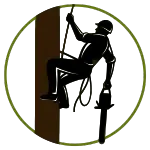 Fakivágás alpintechnikával