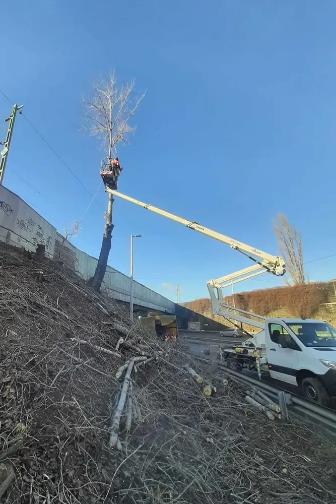 Fakivágás Kosaras emelővel