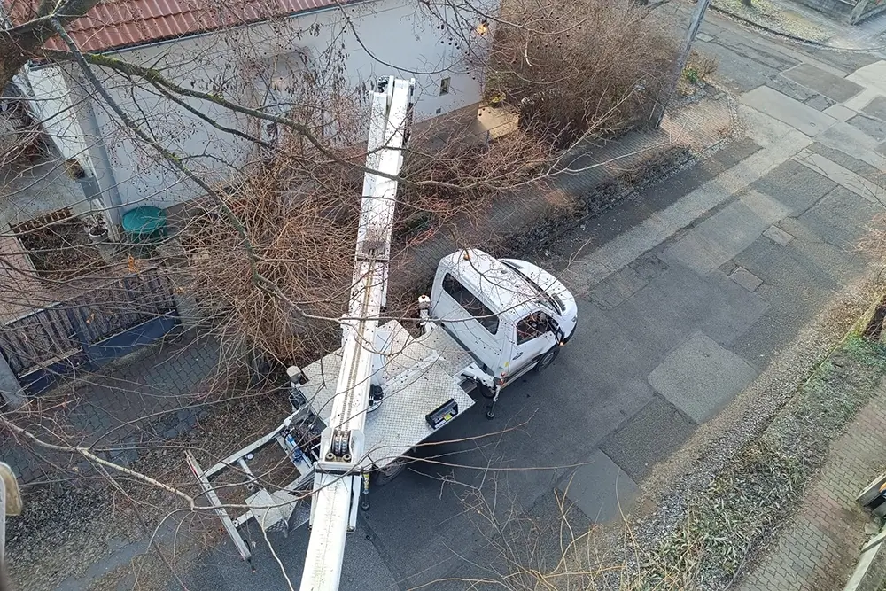 Fakivágás Kosaras emelővel