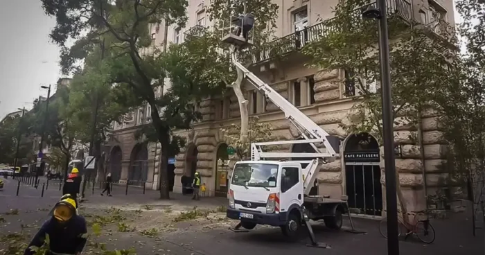 Fakivágás Kosaras emelővel